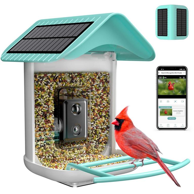 ISYOUNG SMART BIRD FEEDER BLUE2
