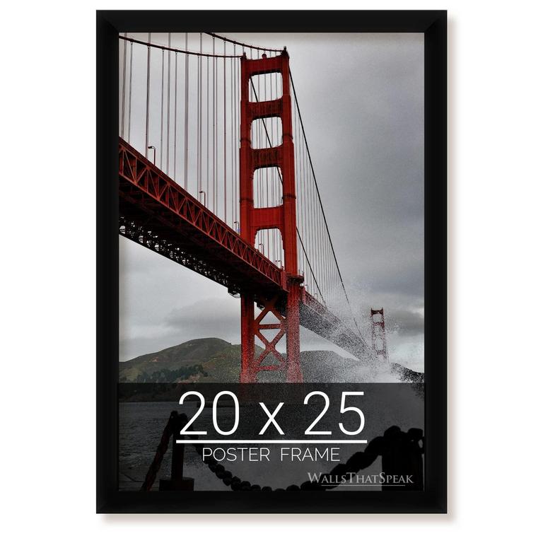 WALLSTHATSPEAK 20IN X 25IN PICTURE FRAME