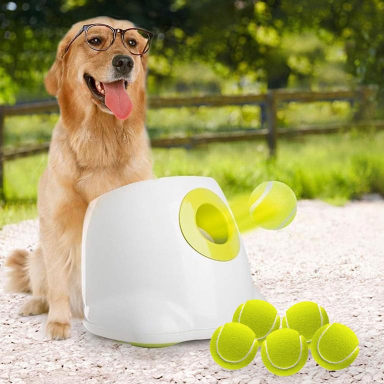 ALL FOR PAWS BALL LAUNCHER