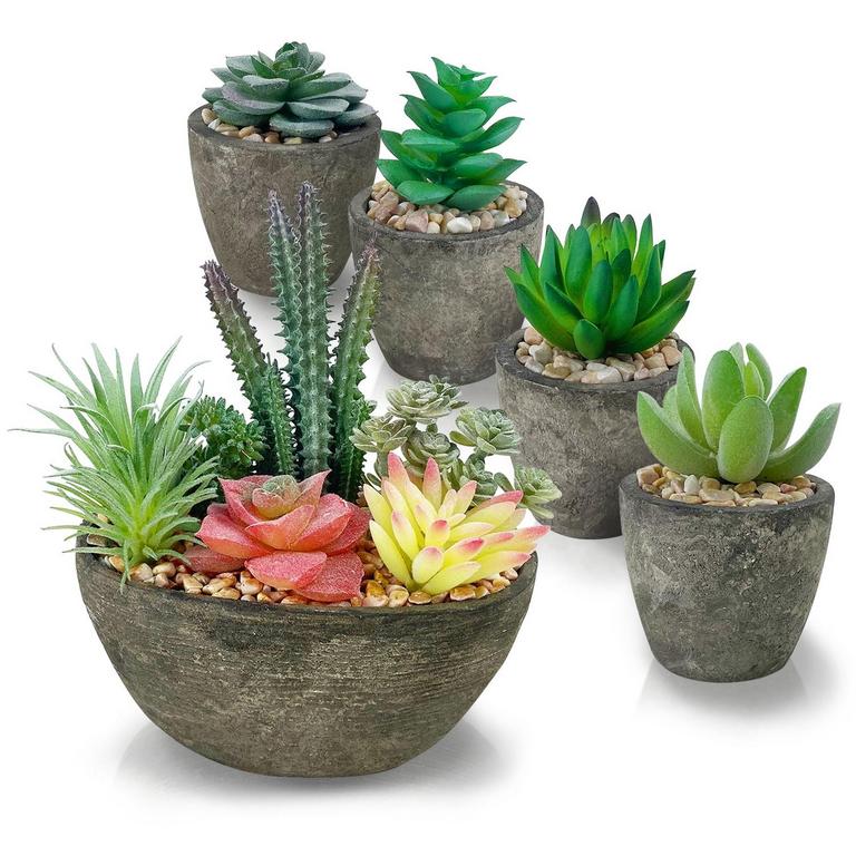 CALENZANA ARTIFICIAL PLANTS 5PK