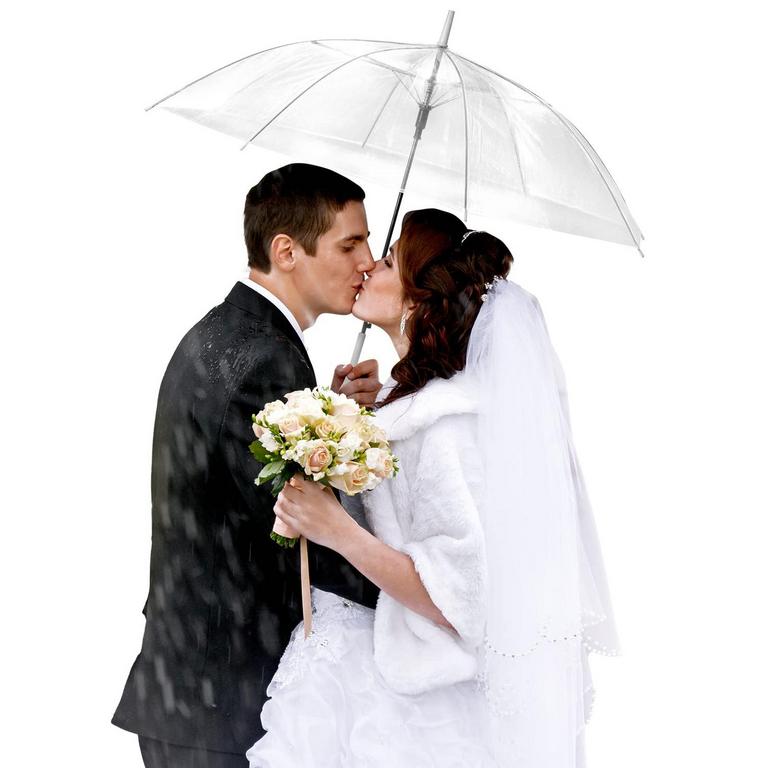 REGINARY 10PK CLEAR UMBRELLA