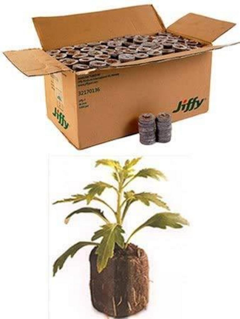JIFFY 1000CT SEED PELLETS