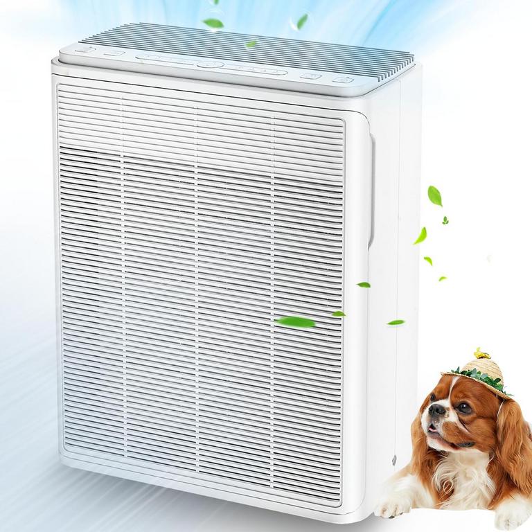 AIUZLK AIR PURIFIER