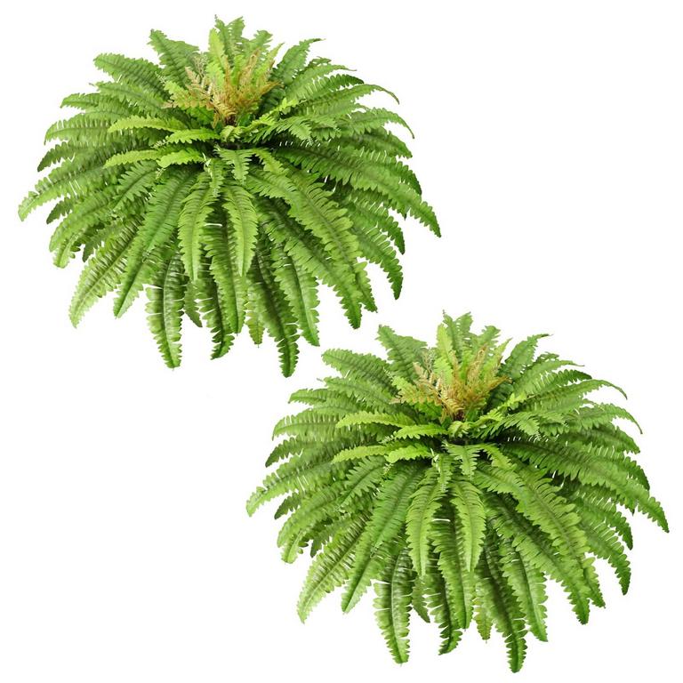 GALEBEIREN 45IN FAKE FERNS 2PK