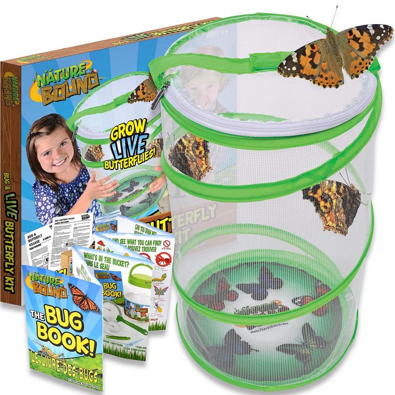 NATURE BOUND BUTTERFLY KIT