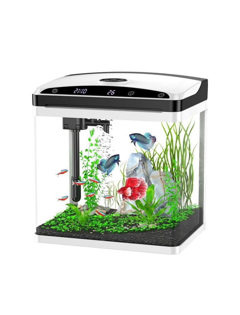 ZMULB 3GAL FISH TANK AQUARIUM