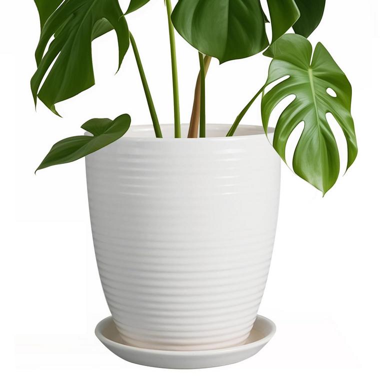 EPFAMILY 8IN PLANTER POT