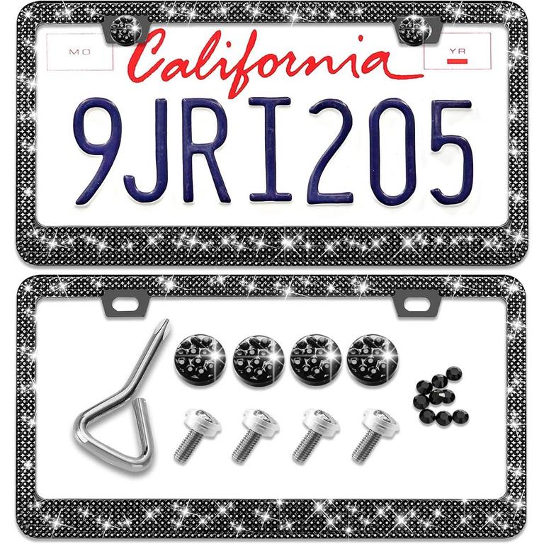TRAVLOG 2PK LICENSE PLATE FRAMES