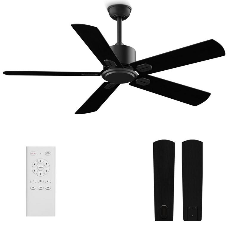 BIUKIS 52IN CEILING FAN