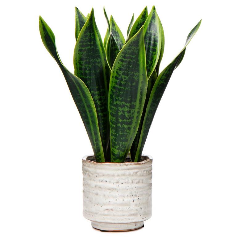 GNFLUS 12IN FAUX SNAKE PLANT