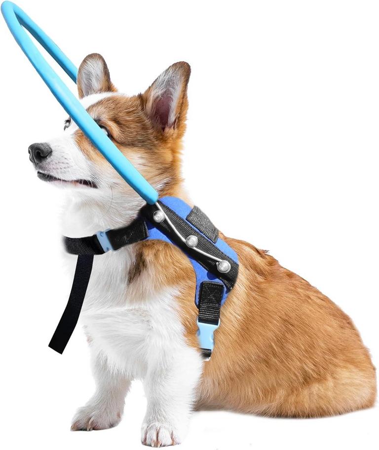 LETPETRUN BLIND DOG HALO HARNESS XS
