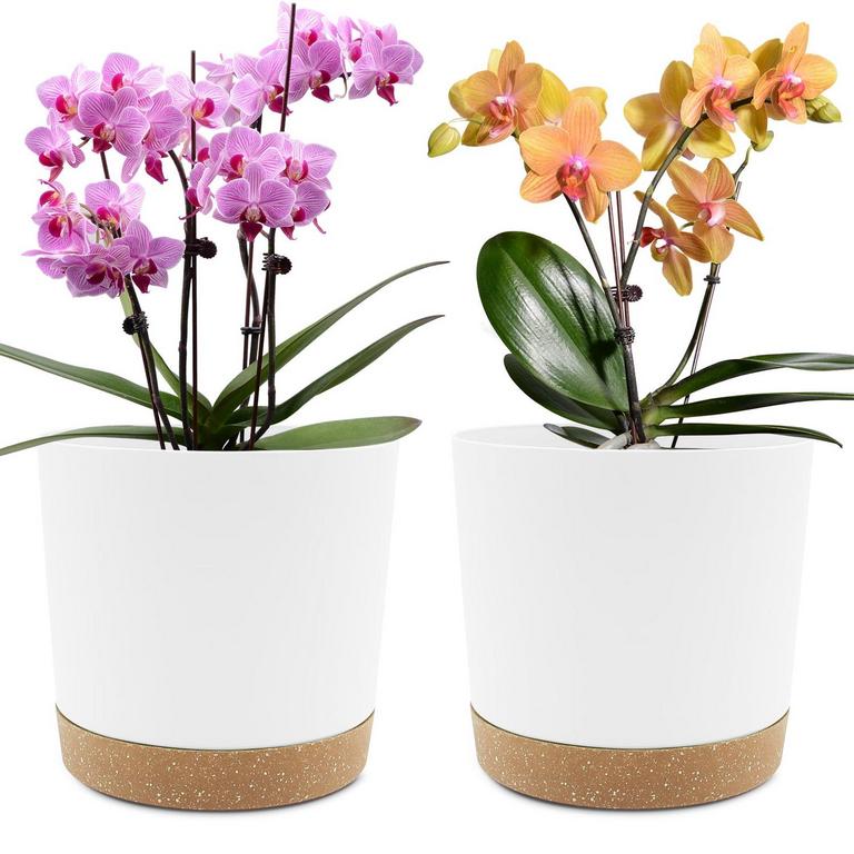 QCQHDU 2PK 8IN PLANT POTS