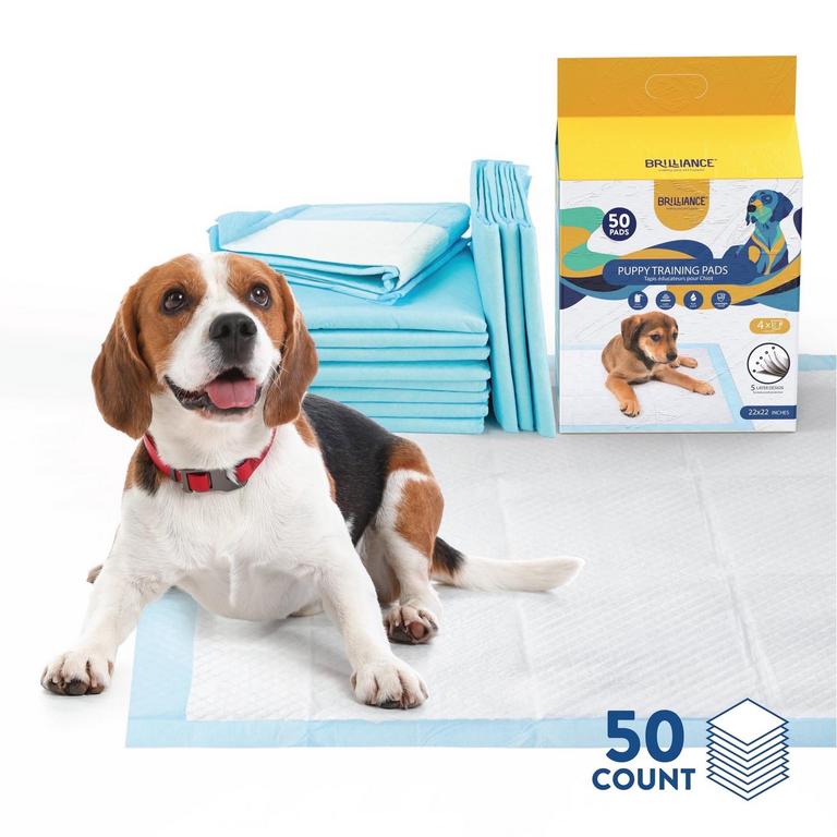 BRILLIANCE DOG TRAINING PADS 22IN 50PK