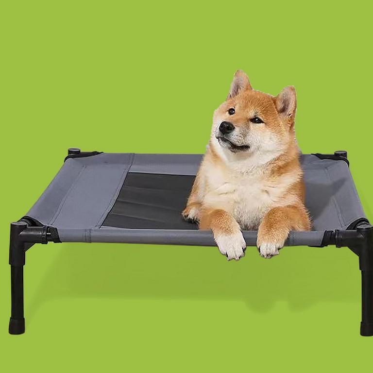 XRDDFL ELEVATED DOG BED S