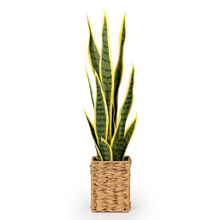 HOYUKASI FAUX SNAKE PLANT 23IN