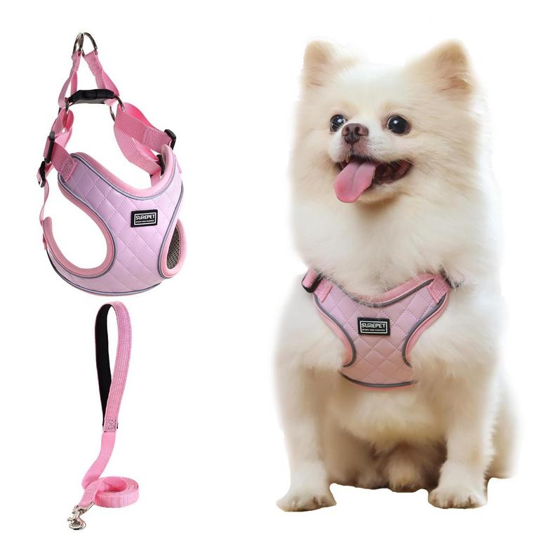 SMALL PINK HARNESS