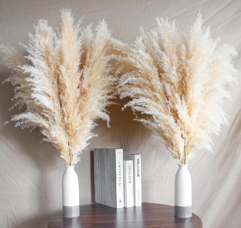 NAUNAQUA 14PK STEMS 30IN PAMPAS GRASS