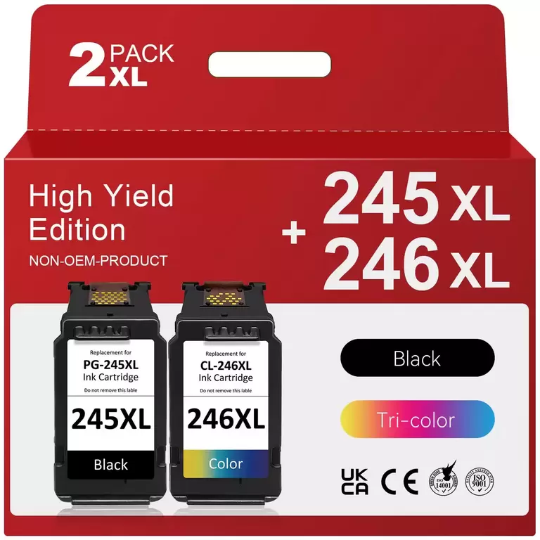 DENVOER CANON 245/246 INK CARTRIDGES 2PK