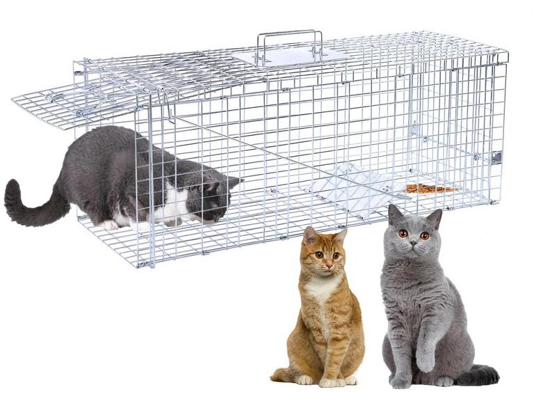 DEXYLA 32IN HUMANE ANIMAL TRAP
