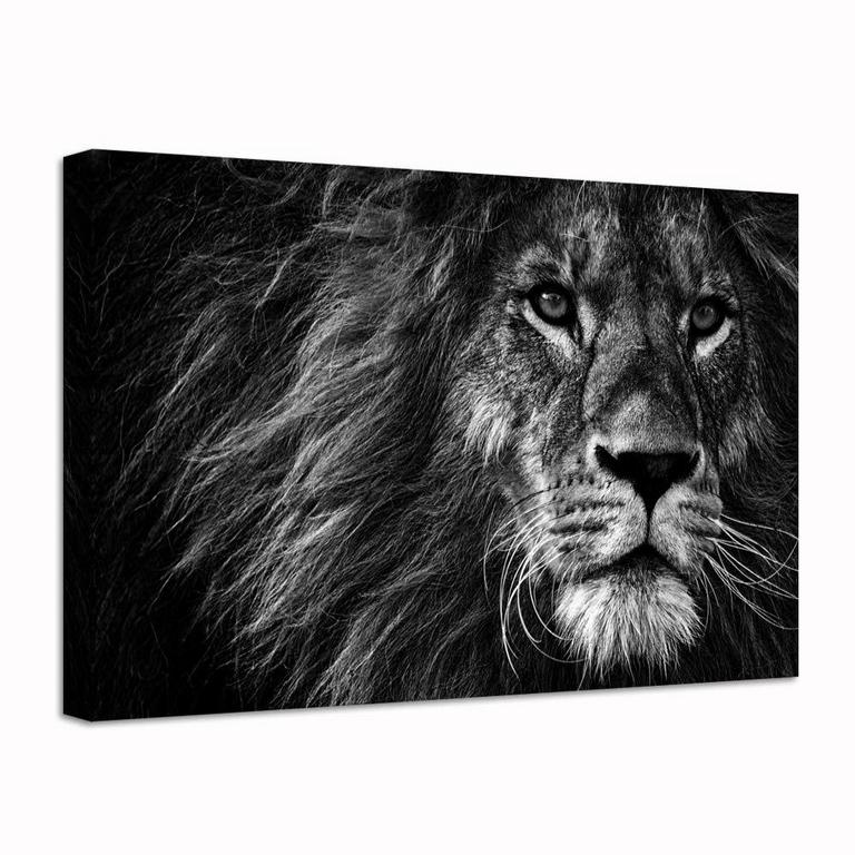 NACHIC 36IN X 24IN ANIMAL WALL ART