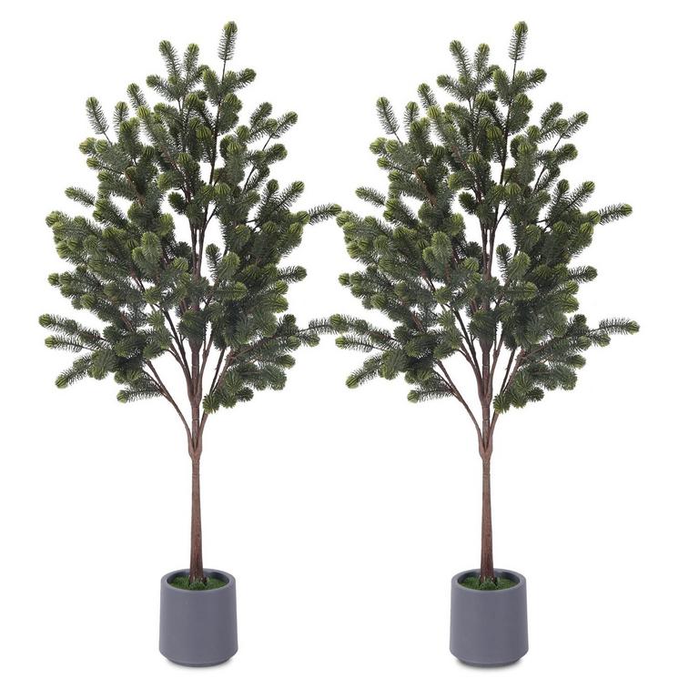 METACH 4.9FT CEDAR TREES