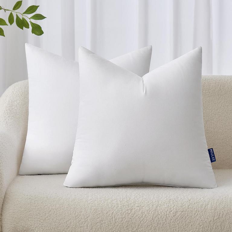 MIULEE 20IN PILLOW INSERTS 2PK