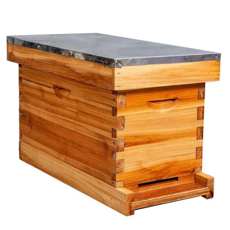 MAYBEE BEEHIVE KIT