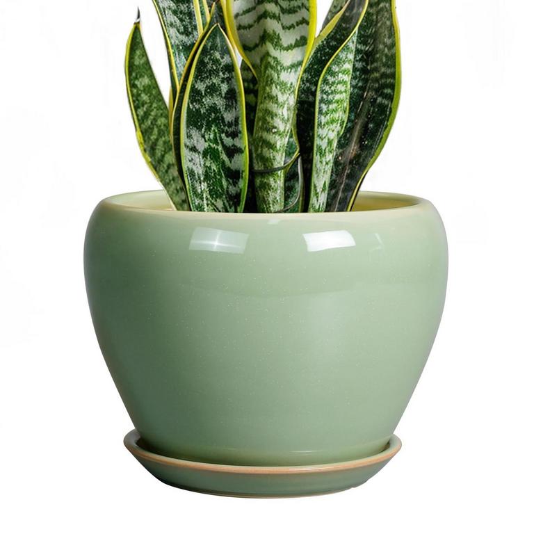 CERAMICFOR 8IN PLANT POT