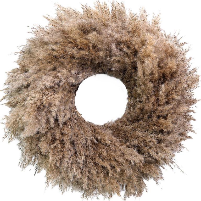 ROSETALK PAMPAS WREATH 20IN