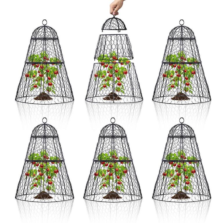 DADYWHEELS 14IN PLANT CLOCHE 6PK