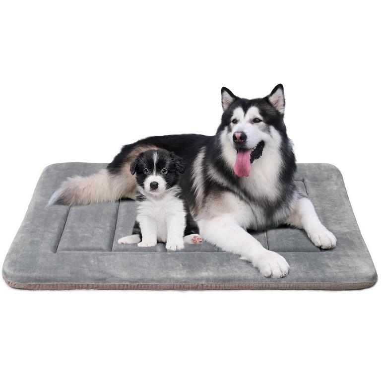 PROCIPE 47IN DOG BED