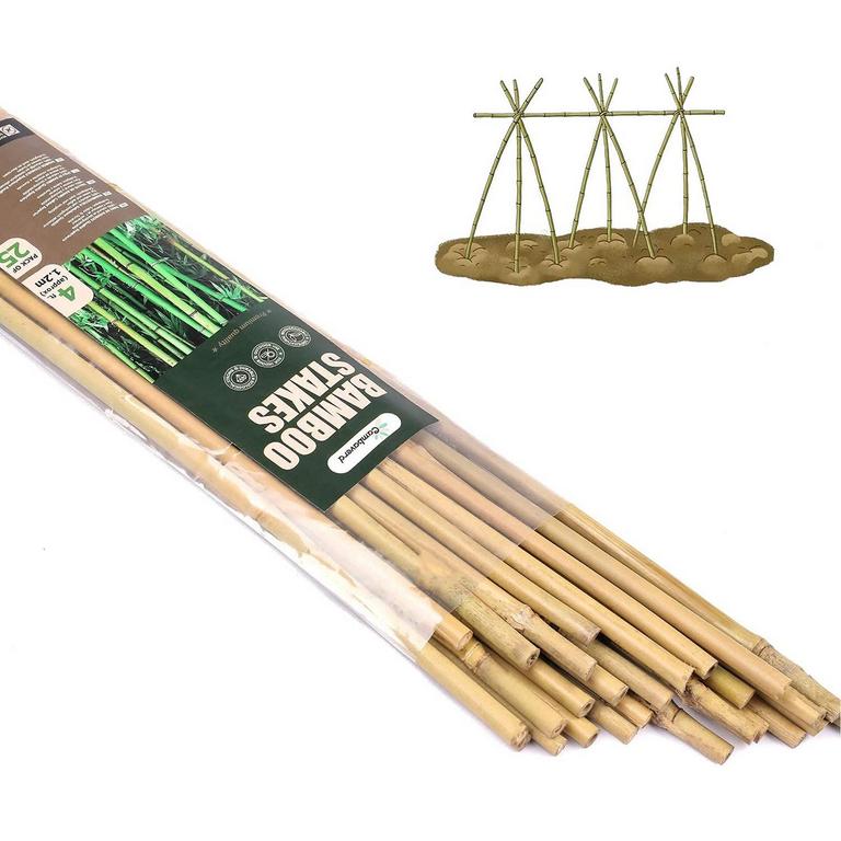 CAMBAVERD BAMBOO STAKES 4FT 25PK