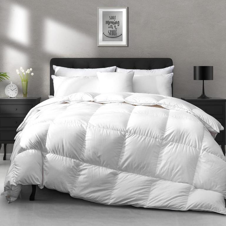 APSMILE QUEEN DOWN COMFORTER