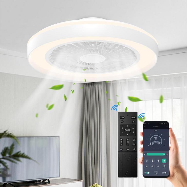 ACESAL 19IN CEILING FAN