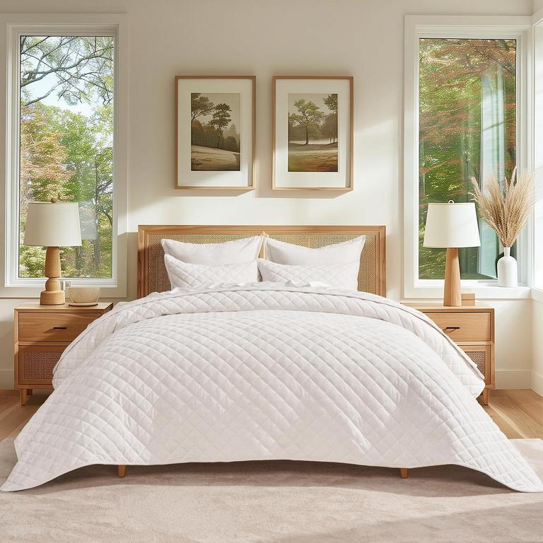 EVERGRACE QUEEN VELVET QUILT SET