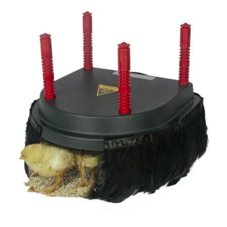 CHICK BROODER HEATING PLATE