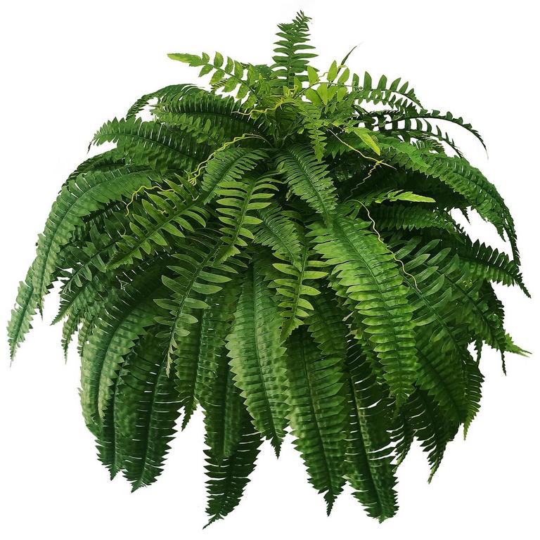 WAYNHUI 48IN ARTIFICIAL FERN