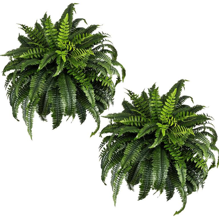 RWSEFK GIANT FERN BUSH 48IN 2PK