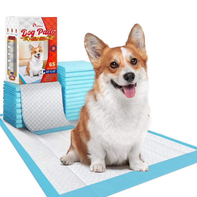 TOLOBEVE PUPPY PADS LARGE 65PK 
