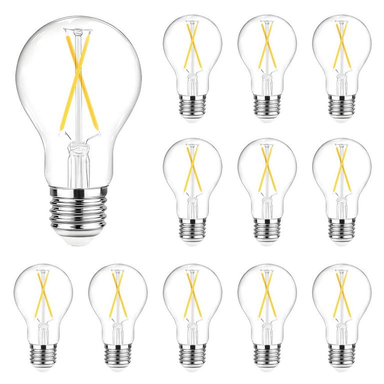 DAYBETTER A19 LED BULBS 12PK