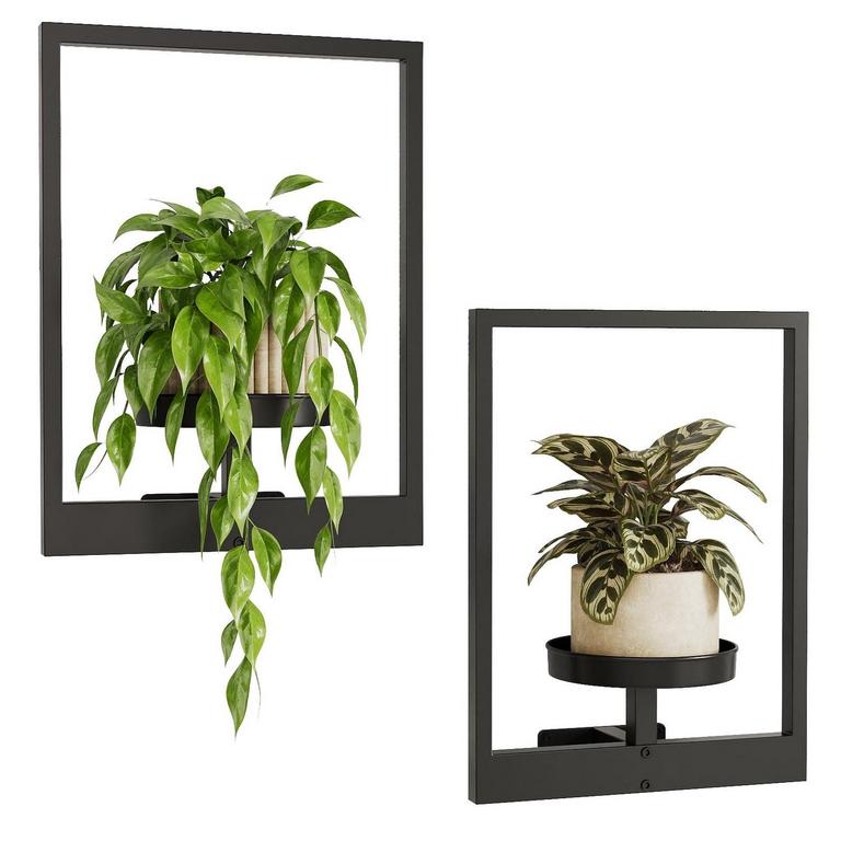 BAMWORLD PLANT SHELF 2PK