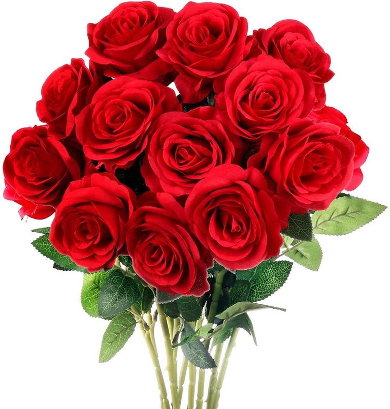 MOCOOSY 12PC FAKE ROSES