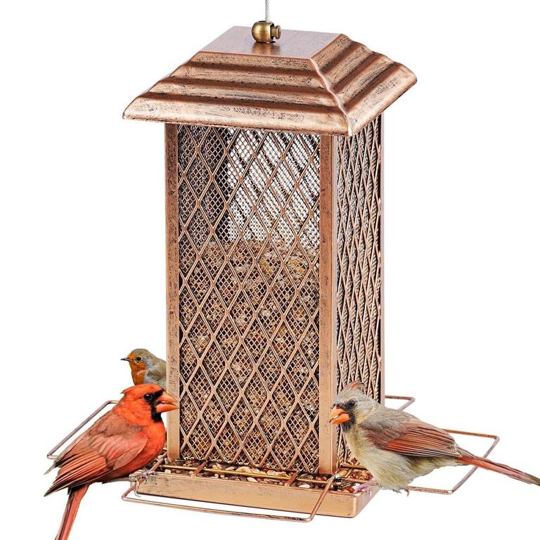 IWNTWY WILD BIRD FEEDER
