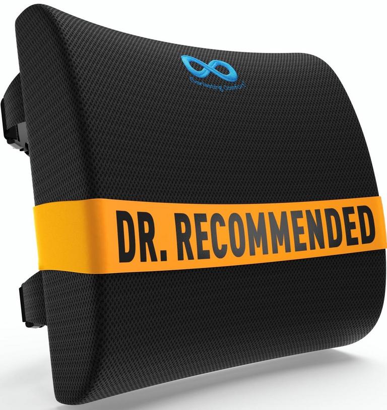 EVERLASTING COMFORT BACK PILLOW