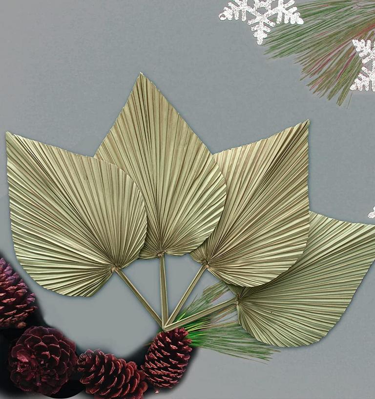 YMAM.LIGHT 4PCS 16IN DRIED PALM LEAVES