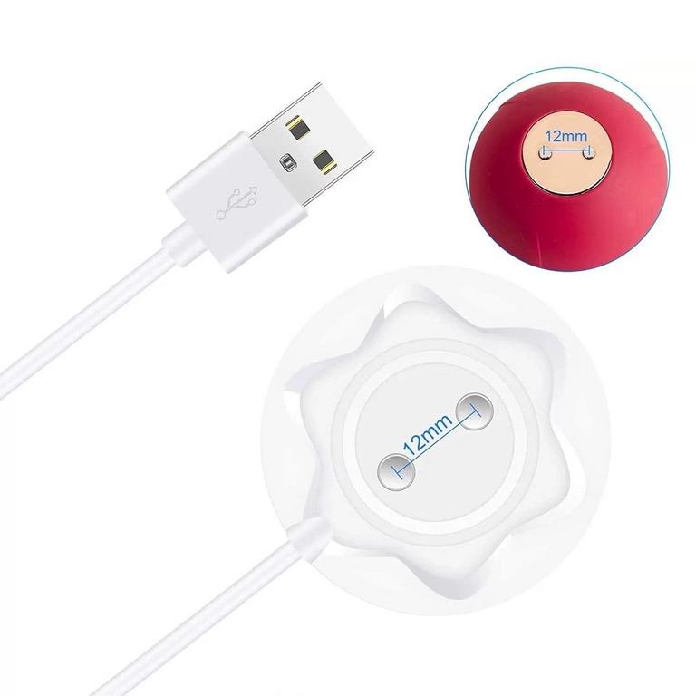 VANTIYAUS ROSE TOY CHARGER