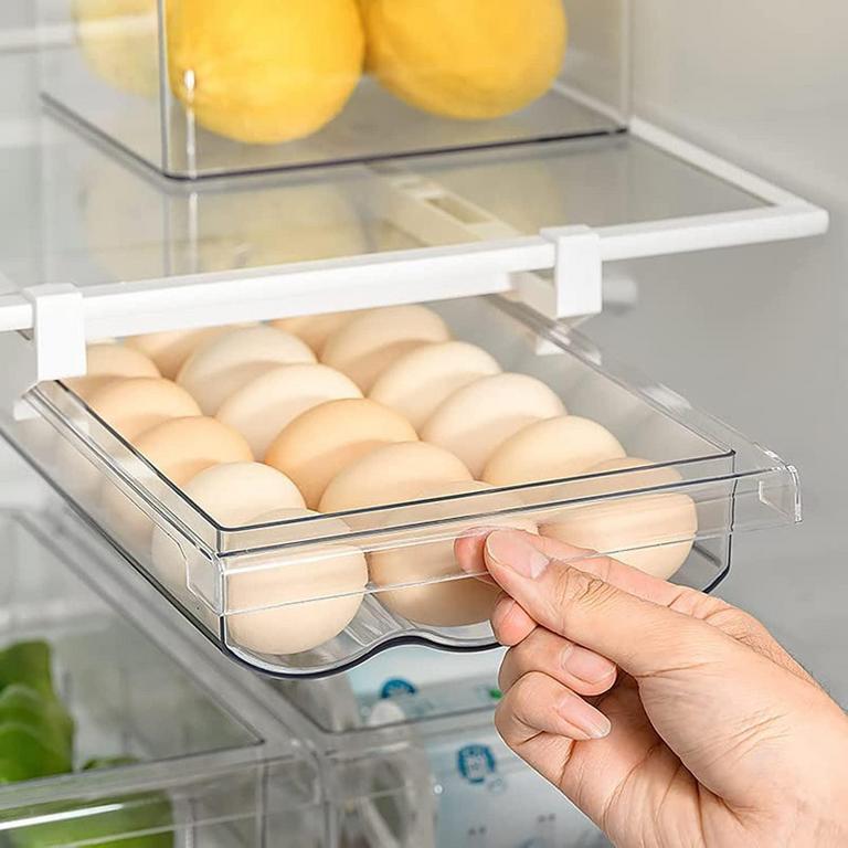 GENERIC EGG HOLDER TRAY