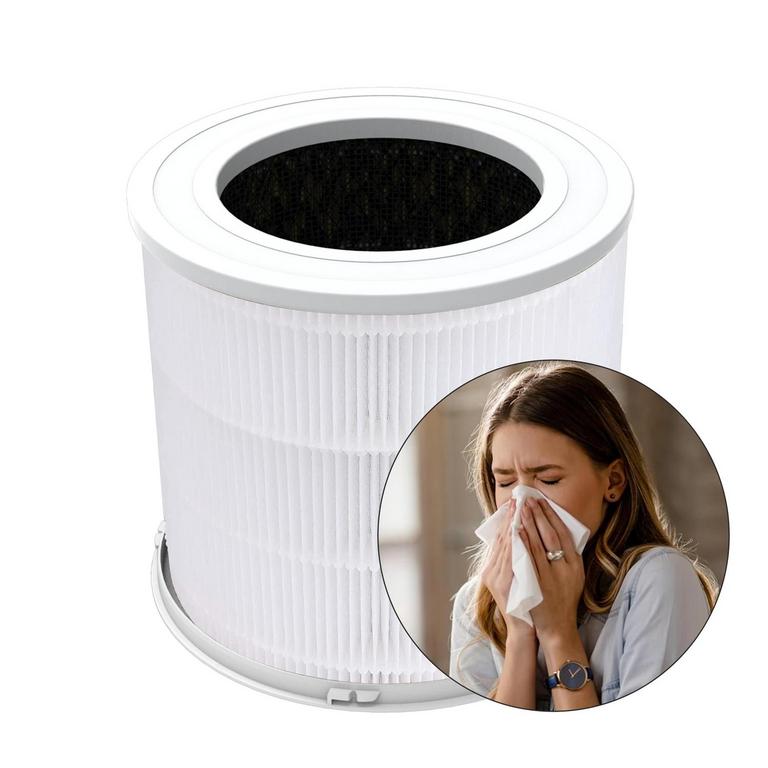 GCZ REPLACEMENT AIR PURIFIER FILTER