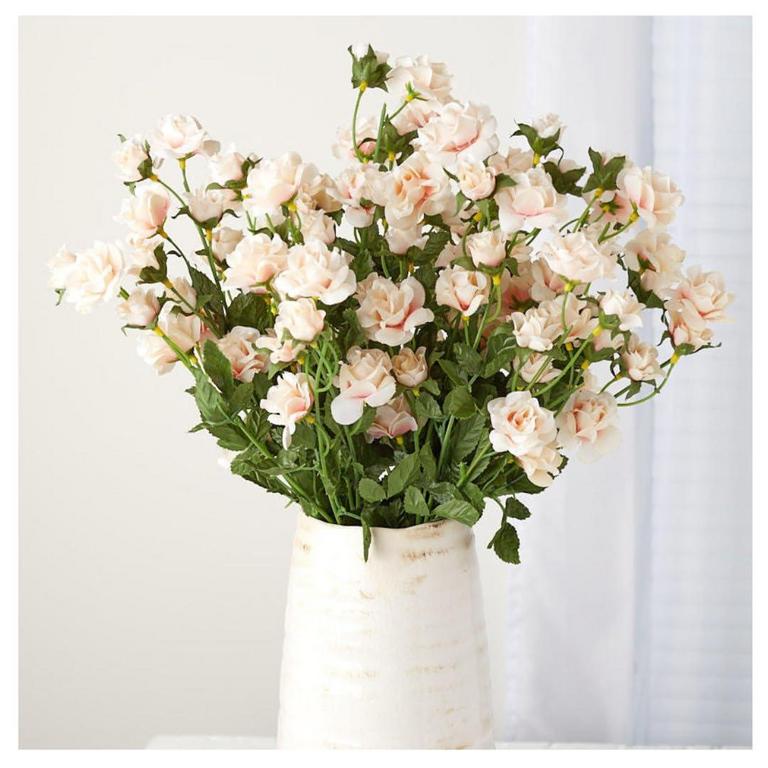 FACTORY DIRECT CREAM ROSES BUNDLE