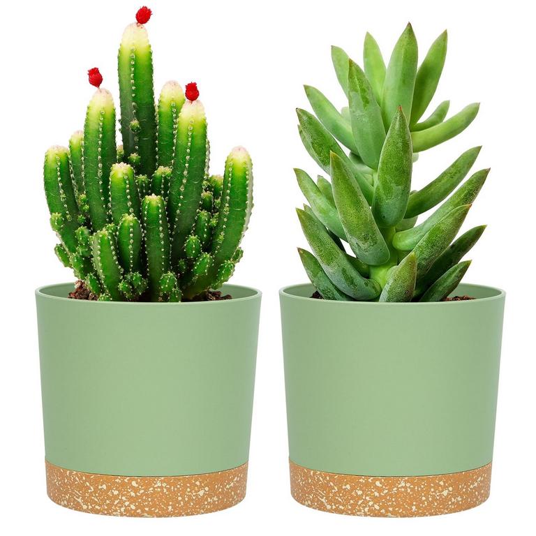 QCQHDU PLANT POTS 2 PACK